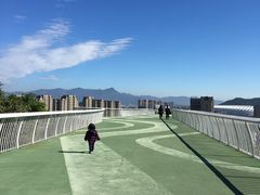 -飞凤山奥体公园