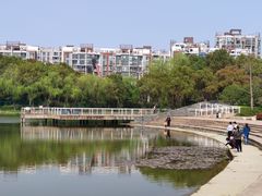 -新江湾城公园