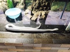 -合肥野生动物园