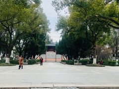 -苏州文庙(姑苏区)