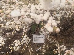 -国家植物园