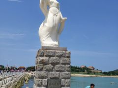 -长岛万鸟岛