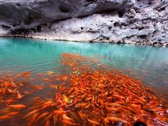 -楠溪江风景名胜区