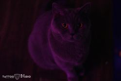 -飛凡TATTOO纹身•原创