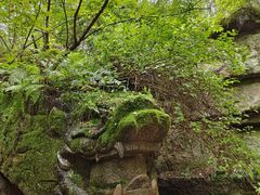 -汤旺河林海奇石景区