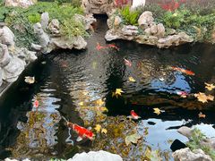 -鲤院·新中式美学·庭院餐厅(夫子庙店)