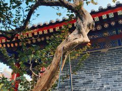 -西安市广仁寺
