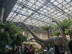 -国家自然博物馆