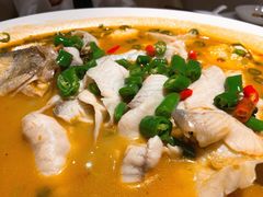 鲜椒豆花鲈鱼-川味堂·四川豆花(八卦岭店)