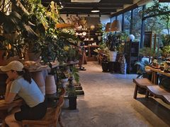 -自由生长植物工作室(深港花卉中心店)