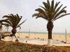 -黄金海岸环岛路