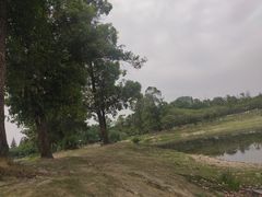 -两河城市森林公园