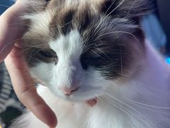 -零纪元VR体验馆·桌游(黄浦店)