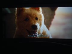 -华美国际影城(旧宫永辉店)