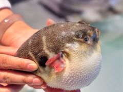 -永安鱼庄·镇江菜(东吴路店)