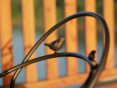 -福建鲤鱼洲酒店