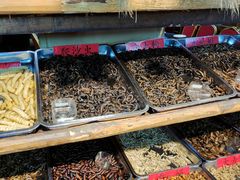 -昆虫窝子·特色云南菜(拓东路总店)