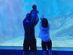 -福州罗源湾海洋世界旅游区