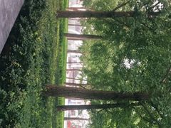 -石家庄市植物园