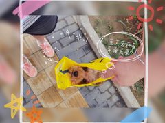 -宠颐生中康贝怡动物医院