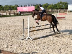 -松声马术俱乐部