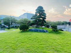 -上海白金汉爵大酒店(大零号湾国际会议中心店)