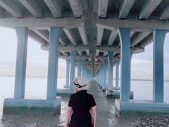 -宝安西湾红树林湿地公园