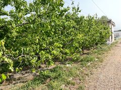 -亲兄弟真人CS团建拓展基地