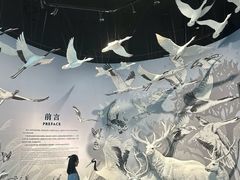 -中国湿地博物馆