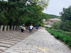-府君山公园