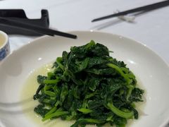 酒香豆苗-老吉士酒家(天平路店)