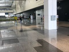 -东浩兰生上海世博展览馆