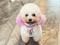 -水岸居湖景农家乐·阳澄湖大闸蟹