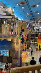 -卡通尼·Safari非洲探索乐园·生日会(金桥国际商业广场店)