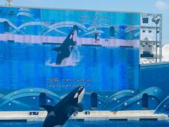 -上海海昌海洋公园