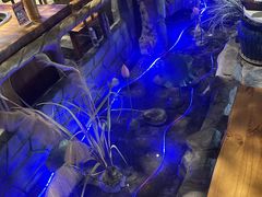 -城墙拐拐火锅(三峡广场黑金冠店)