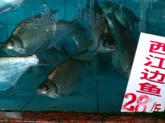 西江边鱼-新庆嫂渔港