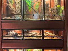 -帕帕拉兹宠物(亚洲旗舰店)