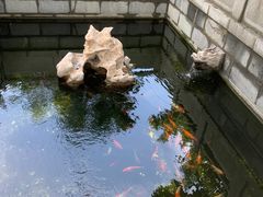 -泰山风景名胜区-虎山公园