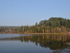 -五营红松林海景区