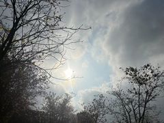 -黄山鲁森林公园