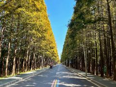 -巧克力渔家.小船海鲜家常菜(万平口店)