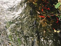 -水磨沟公园