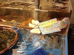 -蒸気海鮮
