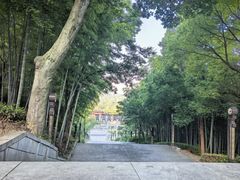 -句容茅山景区