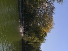 -莲湖公园