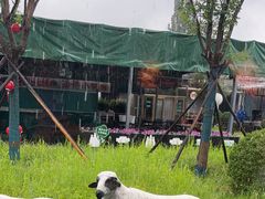-阳坊胜利涮羊肉(阳坊老店)