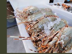 -半岛听涛蒸汽海鲜自助(K11店)