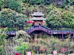 -程阳八寨景区
