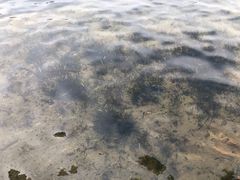 -南宁南湖公园